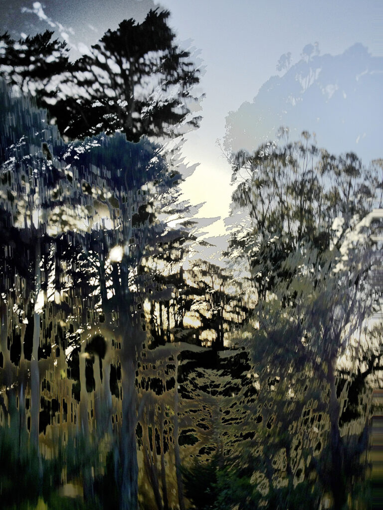 iPhone capture gicleé printed on hahnemuhle metallic rag. 20"x30"(51 x 76 cm) 2009-2012